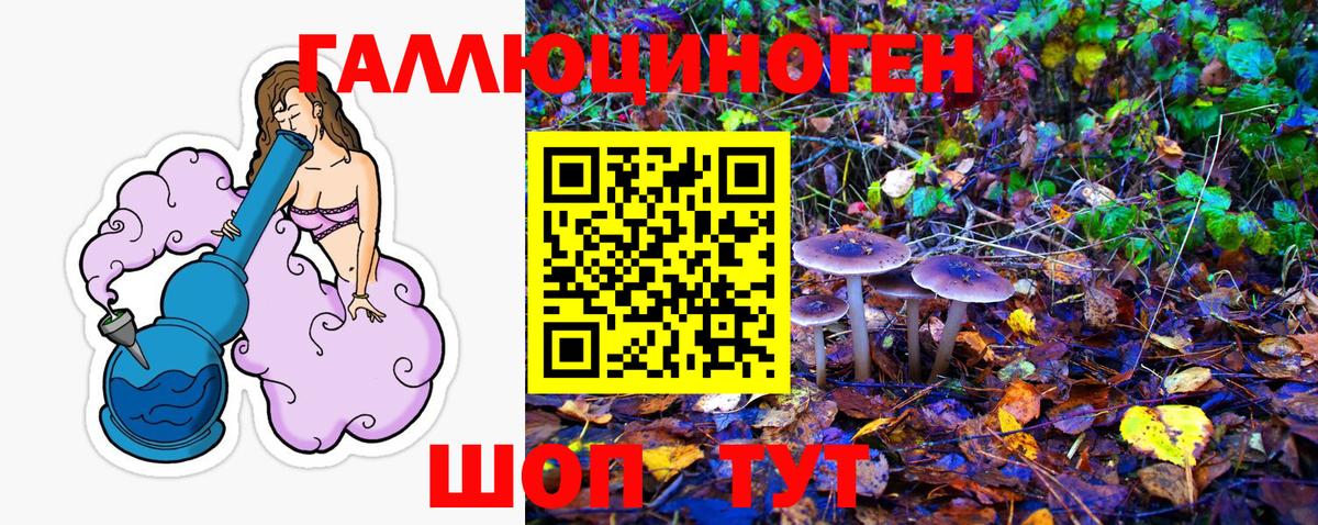 Галлюциногенные грибы Magic Shrooms Старая Русса