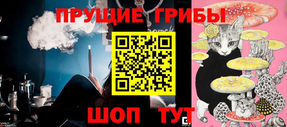 Старая Русса  Псилоцибиновые грибы Psilocybe  Галлюциногенные грибы Magic Shrooms  Вход с VPN 